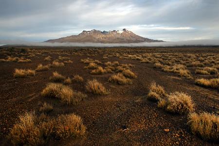 Rangipo Desert