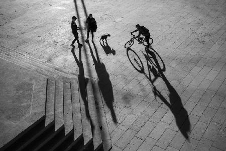 Two mans dog and cyclist