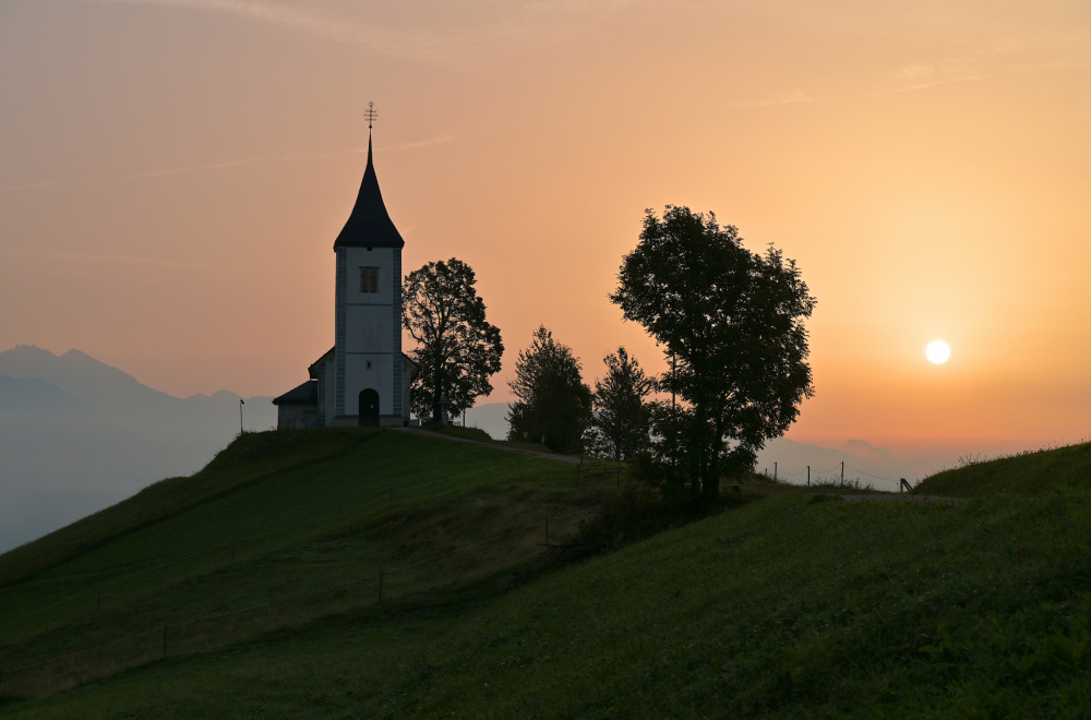 Jamnik in the morning von Drago