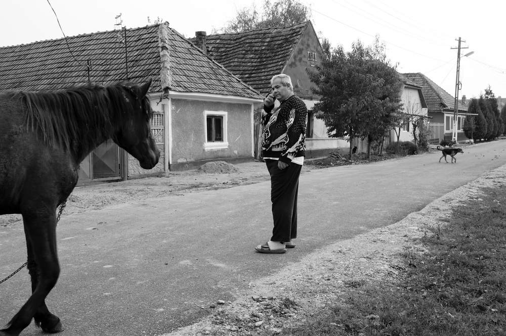 Rural traffic von Dragoslav Sekulić