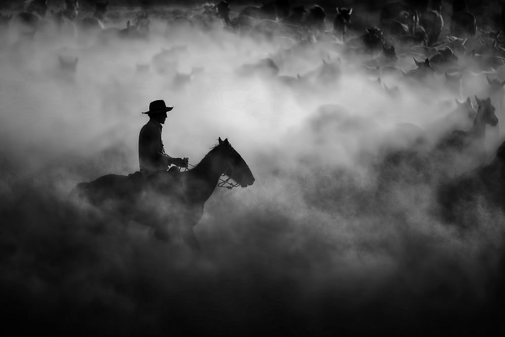 Cowboy von durmusceylan