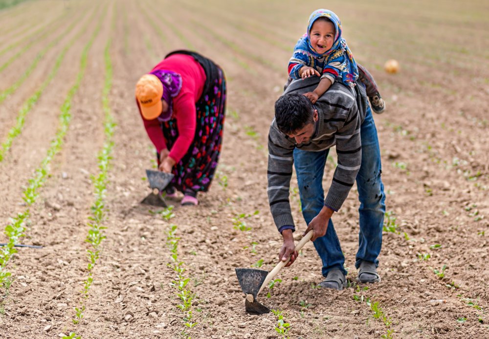 seasonal workers von durmusceylan