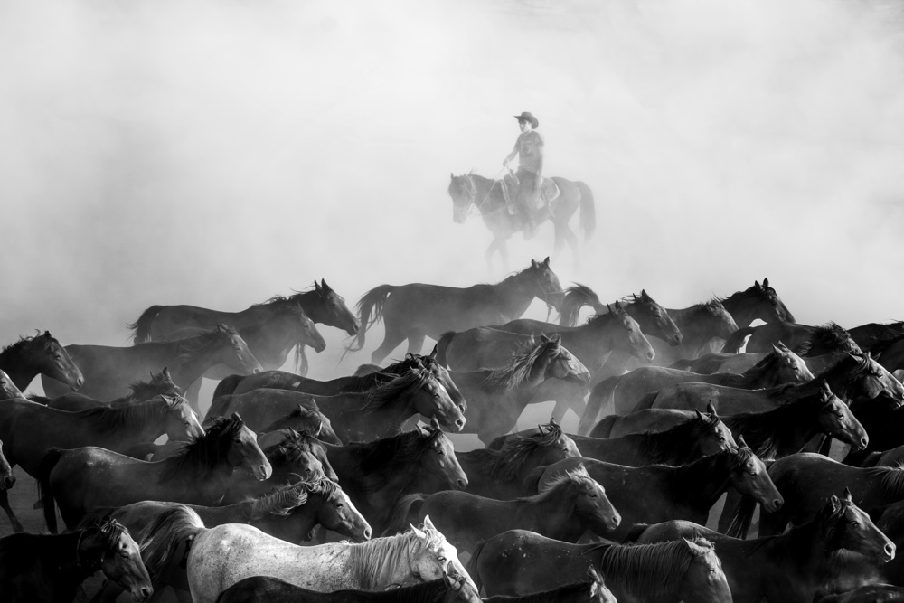 Wild Horses von durmusceylan