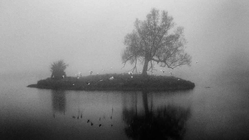 A little island in the fog von Dusan Vukovic