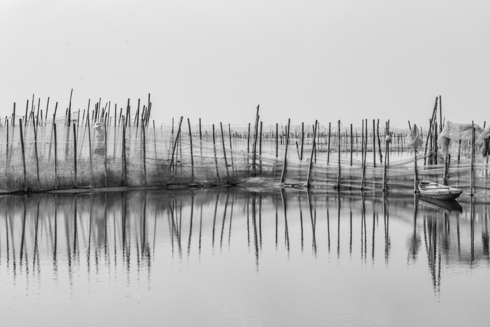 Laguna von Dzintra Zvagina