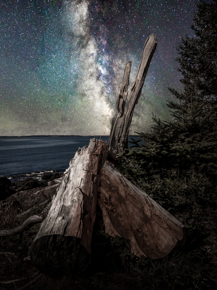 Milky Way Coast von Ed Esposito