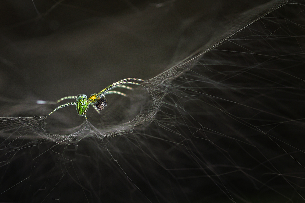 Dinner von Edy Pamungkas