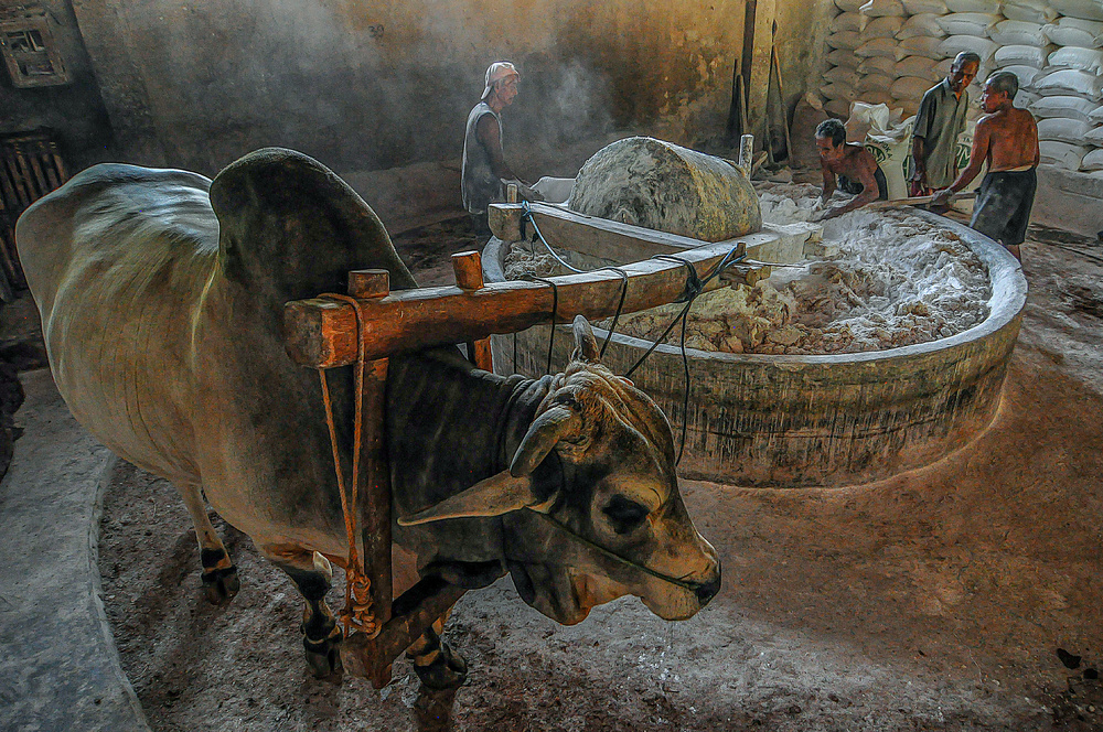 Mutual Cooperation von Edy Pamungkas