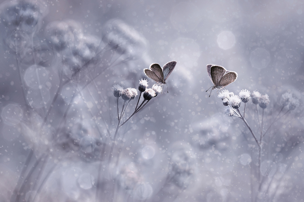 Winter With You von Edy Pamungkas