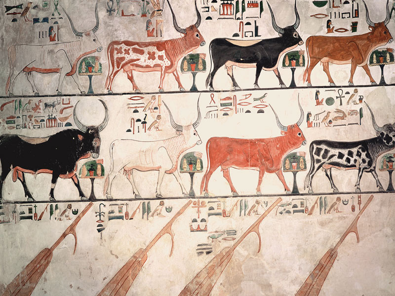 The seven celestial cows and the sacred bull and the four rudders of heaven, from the Tomb of Nefert von Egyptian