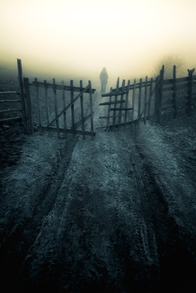 Death Gate von Ehsan Sharifi