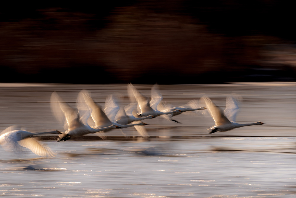 taking off von Eiji Itoyama