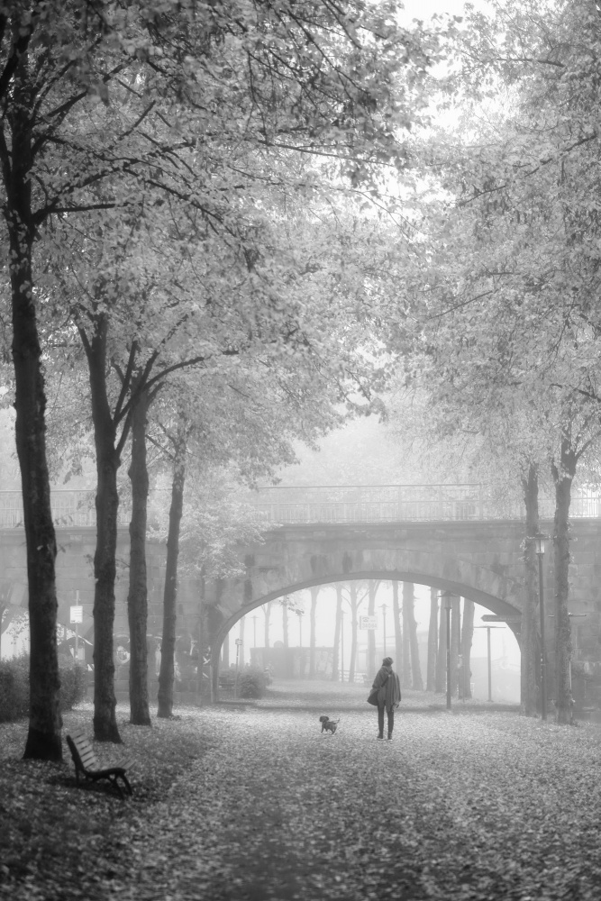 Autumn morning von Eiji Yamamoto