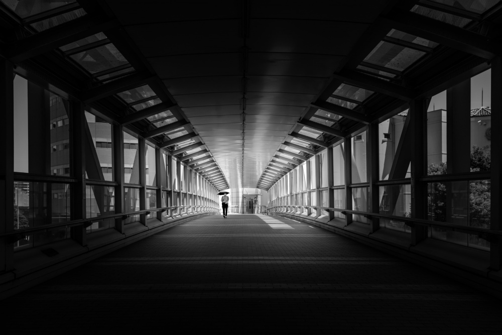 Connecting bridge von Eiji Yamamoto