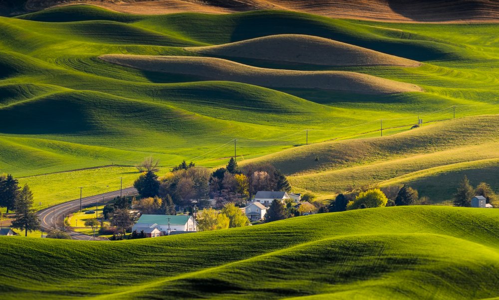 Houses in the Farm Land von Eileen Tan