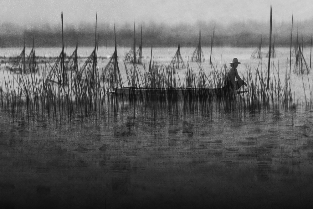 Stillness in the wetland von Ekkachai Khemkum