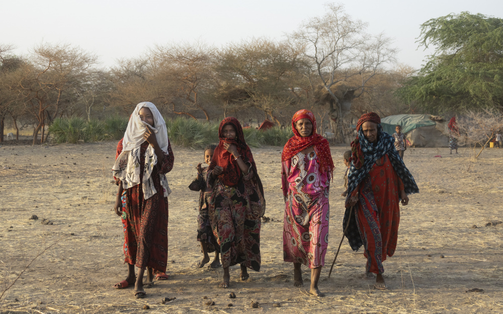 encounters with the red arab tribe on the way to Ndjamena, Tchad von Elena Molina