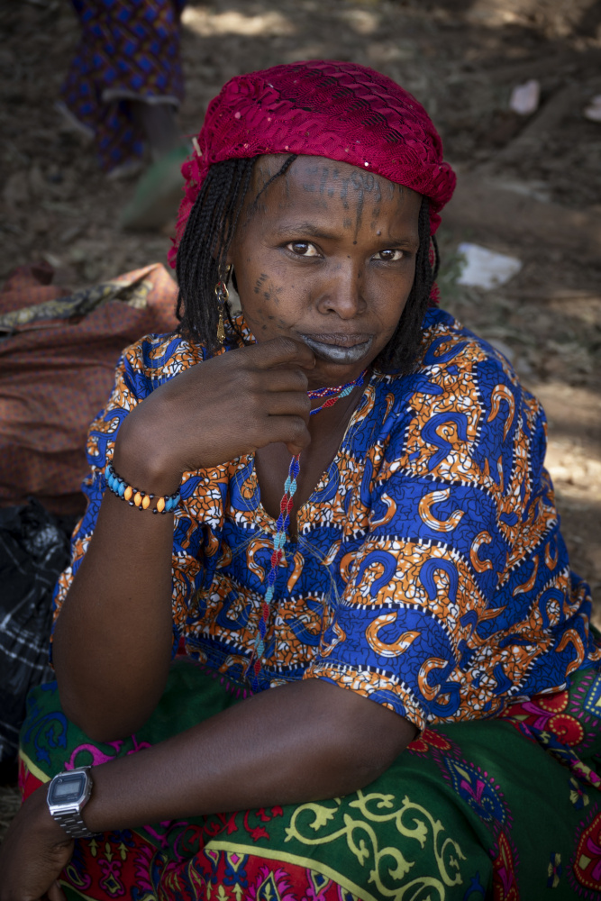 Fulani woman at Poli market, Cameroon von Elena Molina