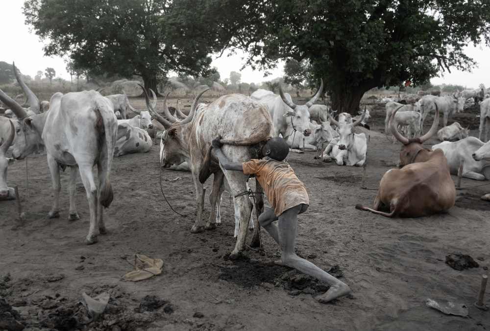 Children’s tasks in a Mundari camp von Elena Molina