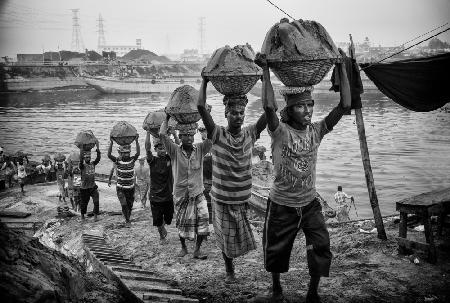 sand transporters at Buriganga riverbank (b&amp;w version)