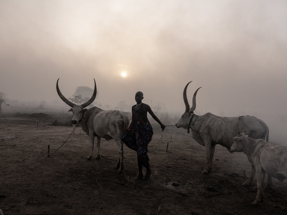 Sunset at Toch Manga mundari camp, South Sudan-3056 von Elena Molina