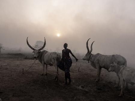 Sunset at Toch Manga mundari camp, South Sudan-3056