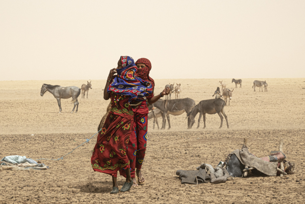 around a well at Borkou desert, Tchad von Elena Molina