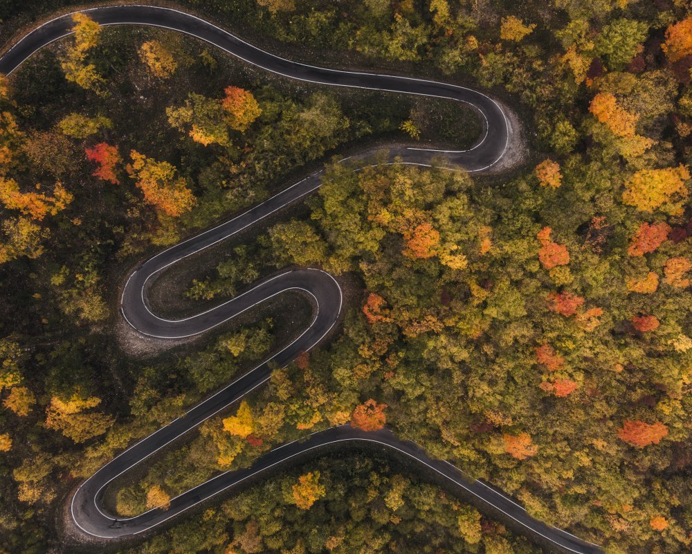 autumn way von Elena Mordacci