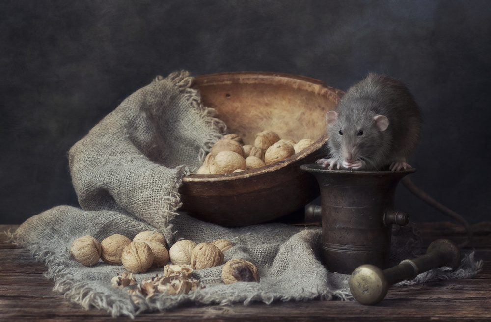 The Walnuts von Eleonora Grigorjeva