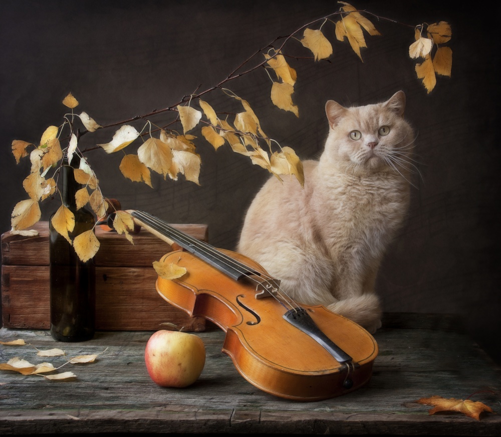 Autumn Melody for  Сat  and violin von Eleonora Grigorjeva