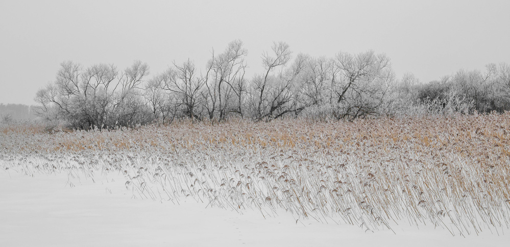 Winter lake von Elisabeth Liljenberg