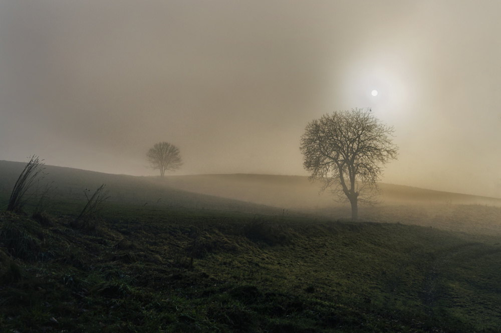 Walk with me von Elisabeth van Helden