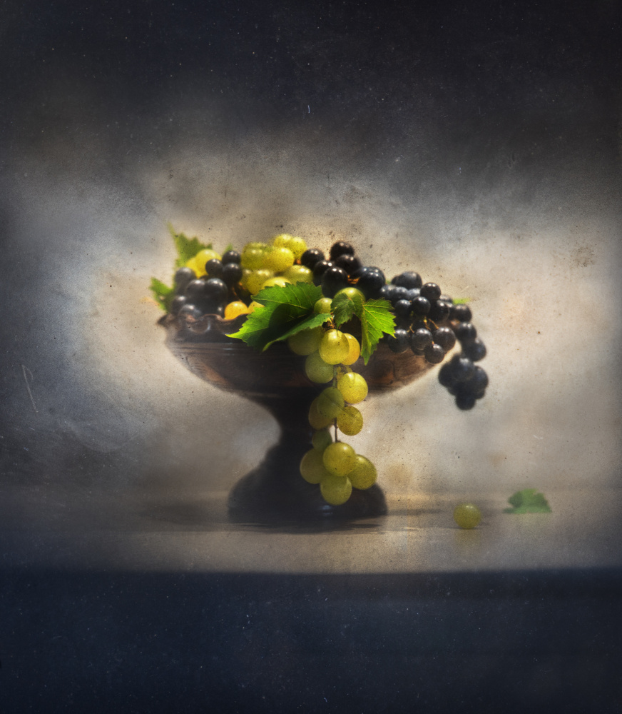 Grapes von Elisabeth van Helden