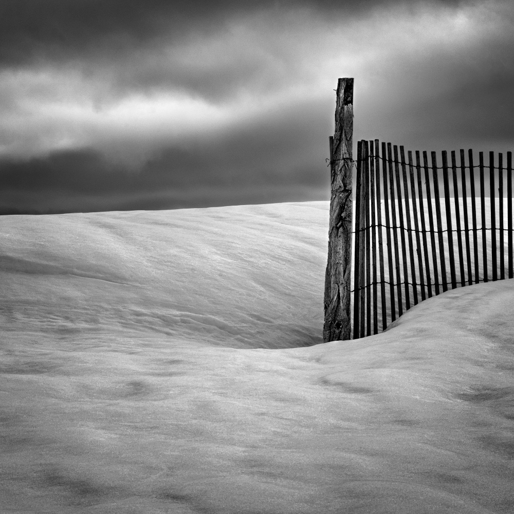 Fence von Elisabeth van Helden