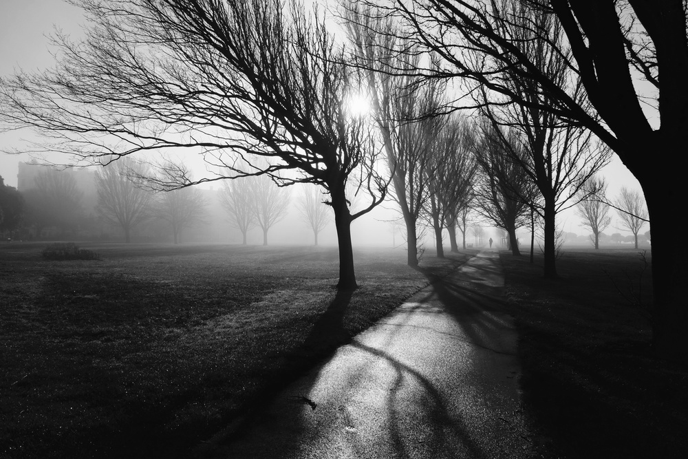 Foggy February von Elizabeth Allen