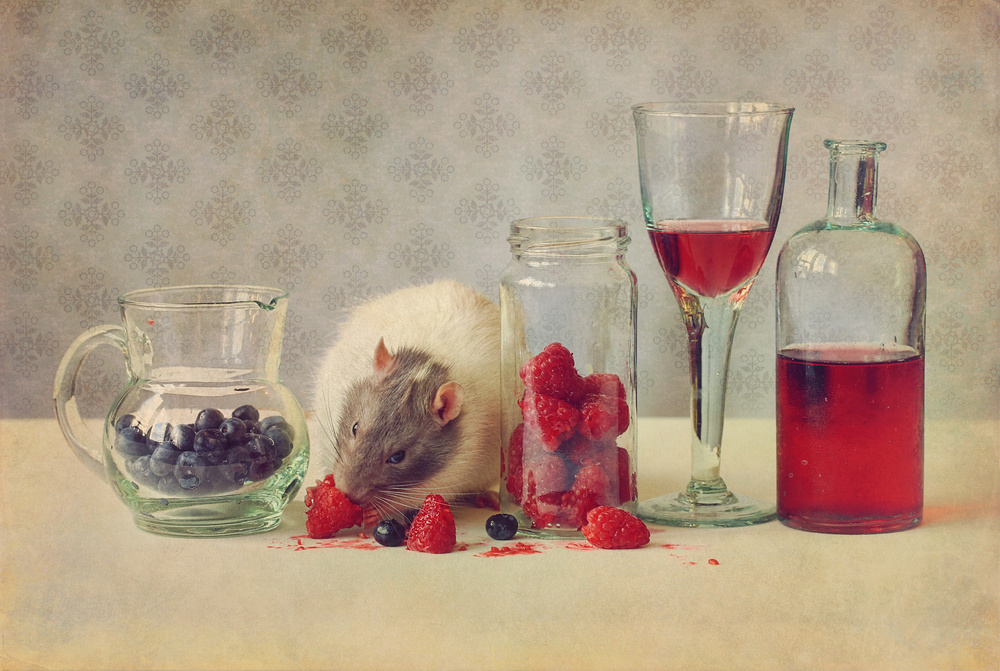 Having a party :) von Ellen Van Deelen