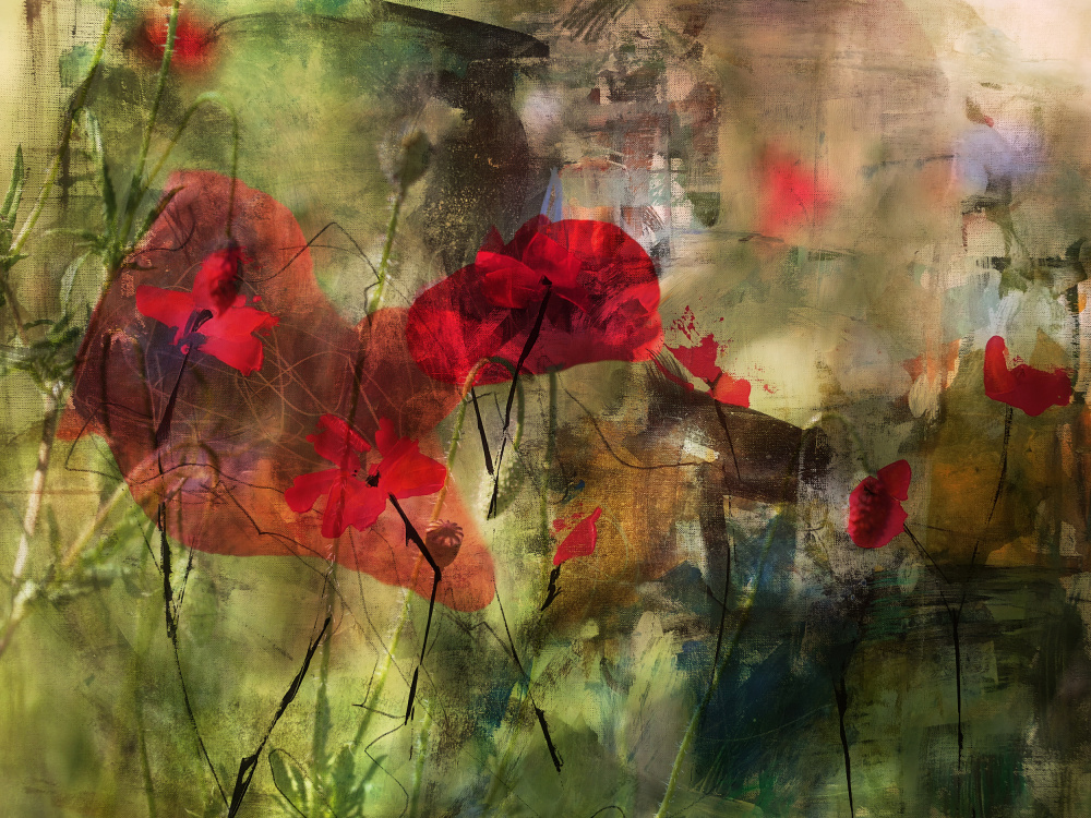 Poppies von Ellen Van Deelen