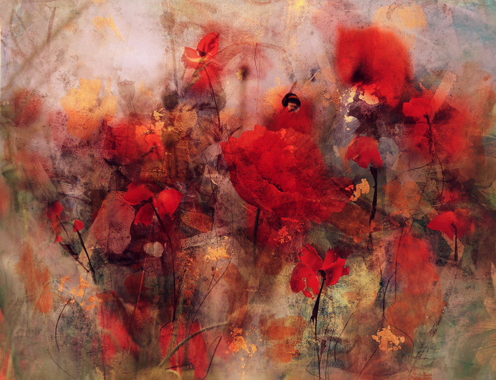 Poppies II von Ellen Van Deelen