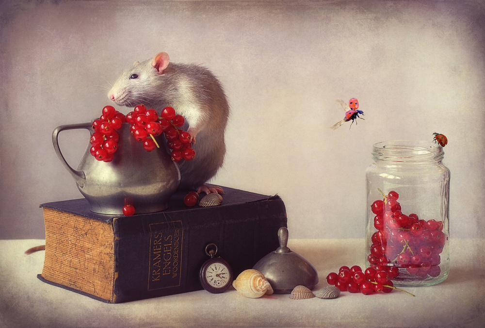 Still life with Jimmy and ladybirds... von Ellen Van Deelen