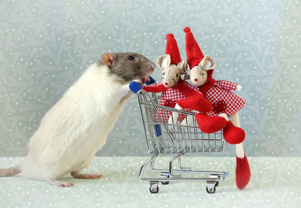 Christmas shopping von Ellen Van Deelen