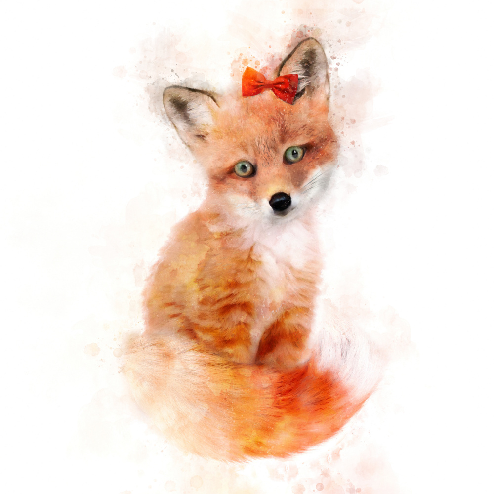 Baby Fox von Emel Tunaboylu