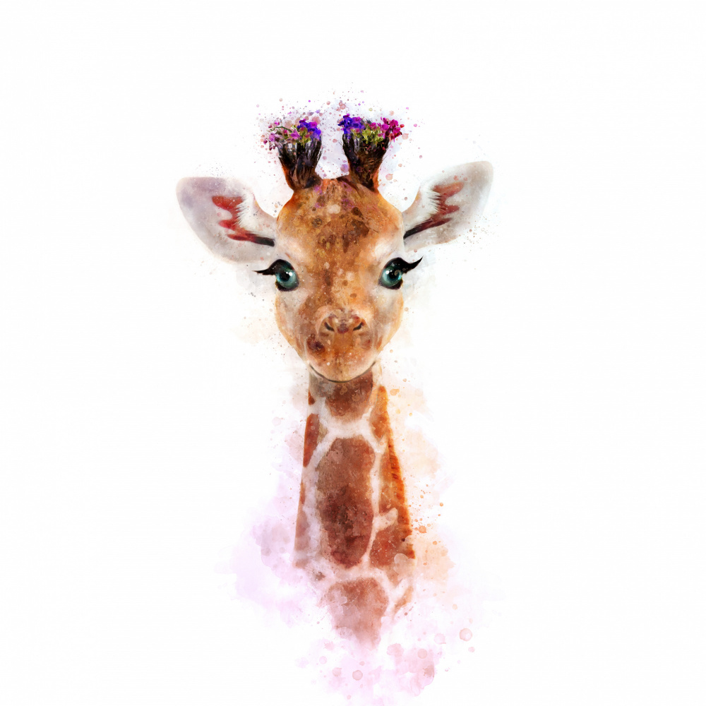 Baby Giraffe von Emel Tunaboylu