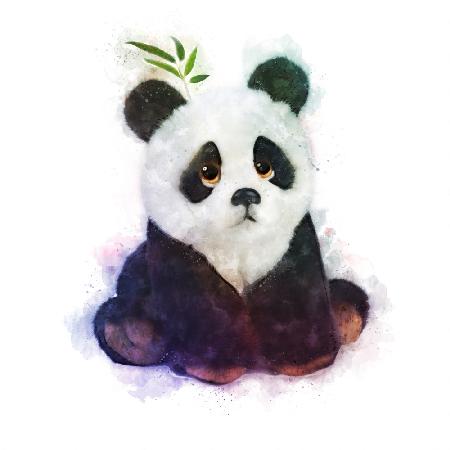 Baby Panda