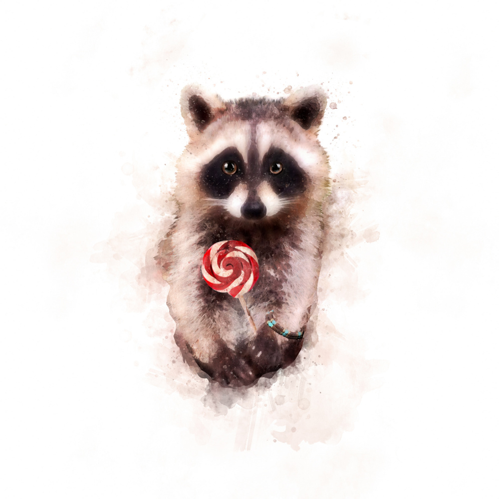 Baby Racoon von Emel Tunaboylu