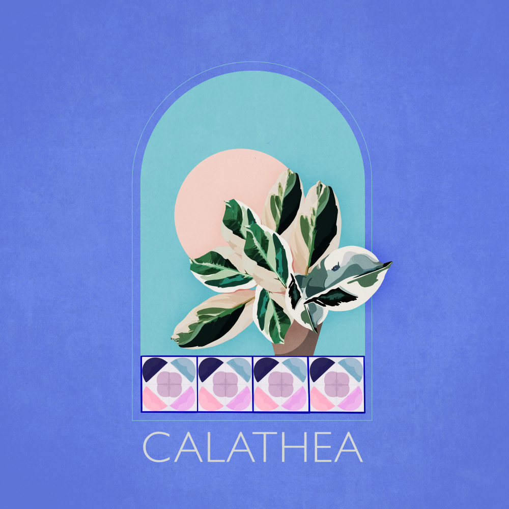 Green Sets Calathea von Emel Tunaboylu