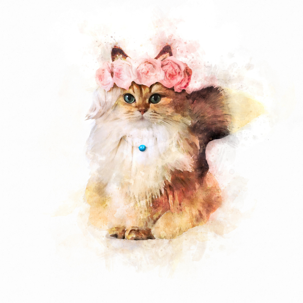 Rose Cat von Emel Tunaboylu