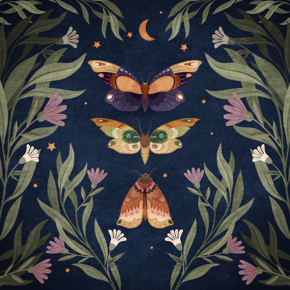 Butterfly Night Fly von Emel Tunaboylu