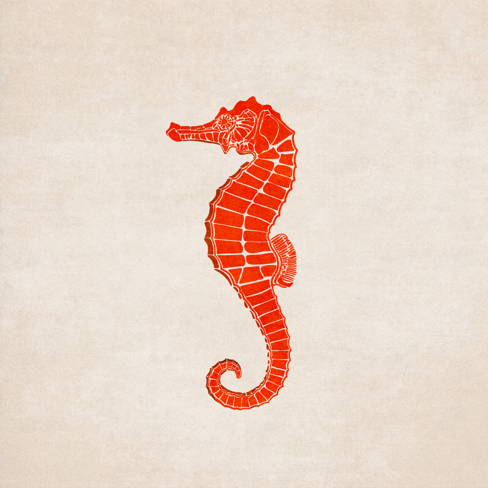 Sea Horse von Emel Tunaboylu