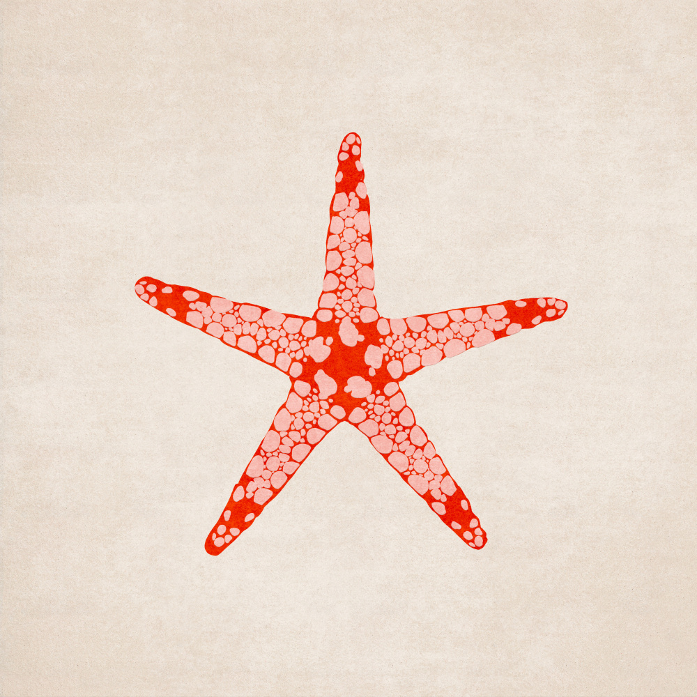 Sea Star von Emel Tunaboylu