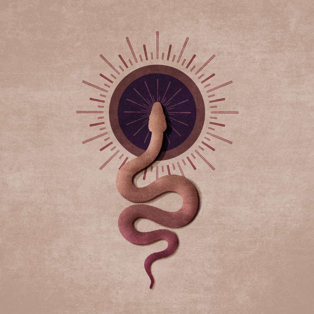 Sun Snake von Emel Tunaboylu